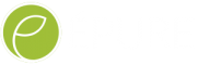 LOGO_ÉPURE_VERT
